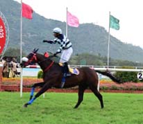 Sea The Sun Shines Brightest in Governor`s Cup